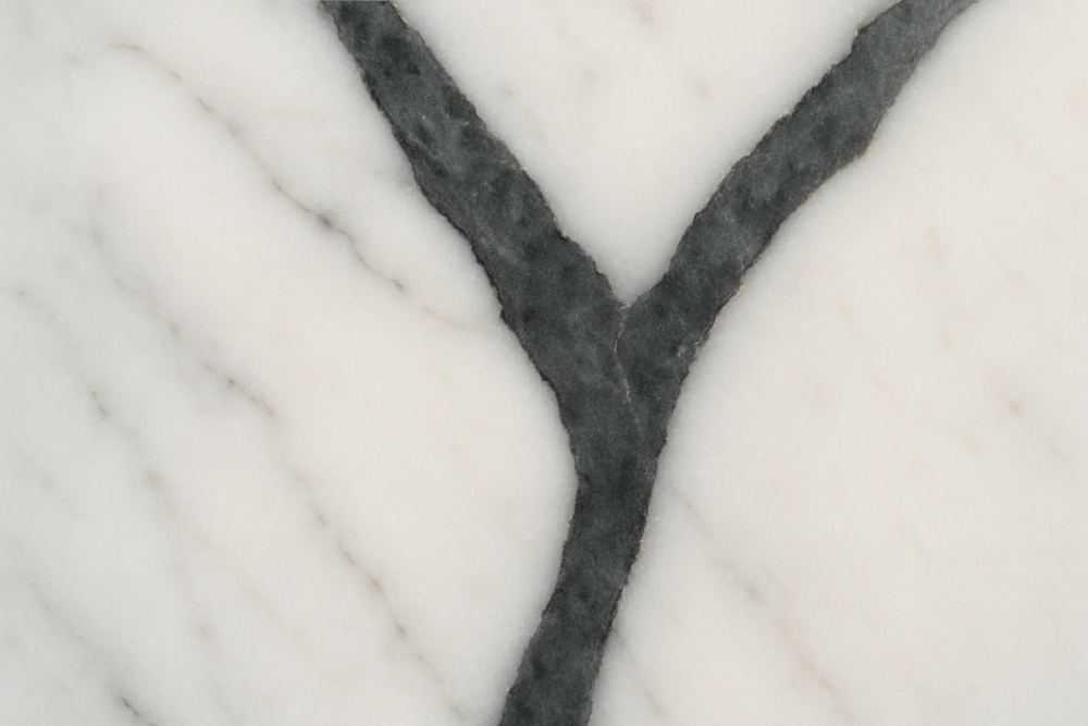 Where one vein becomes two. The macro detail used as a divider